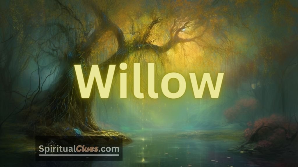 spiritual meaning of the name Willow