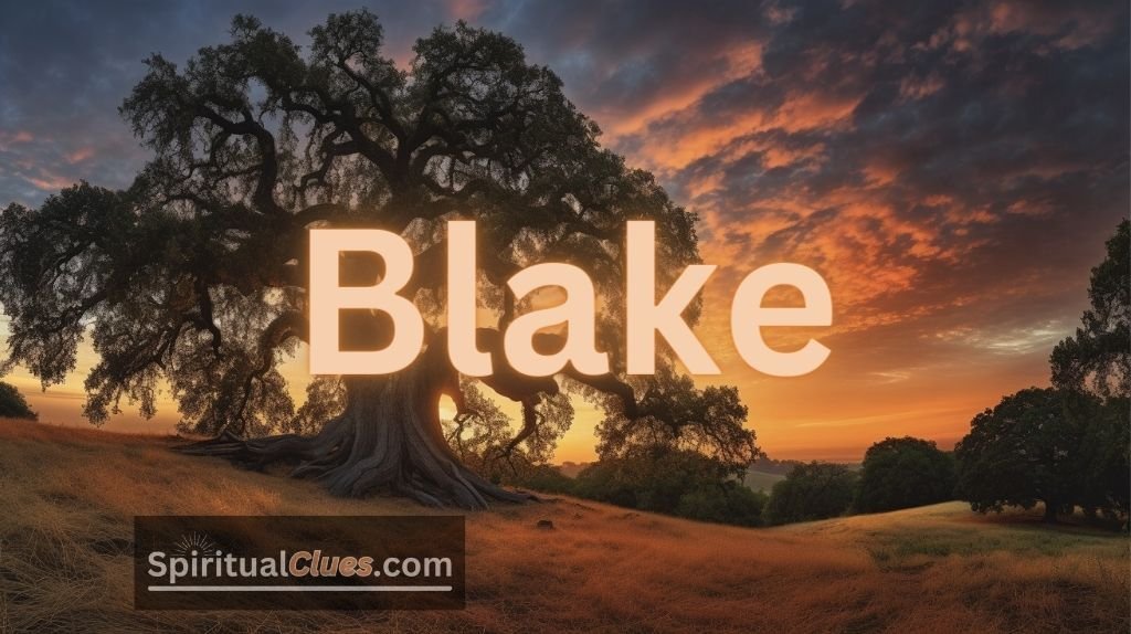 spiritual meaning of the name Blake