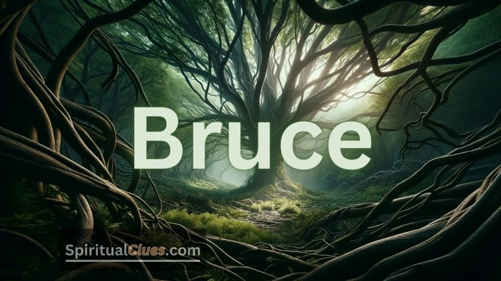 spiritual meaning of Bruce