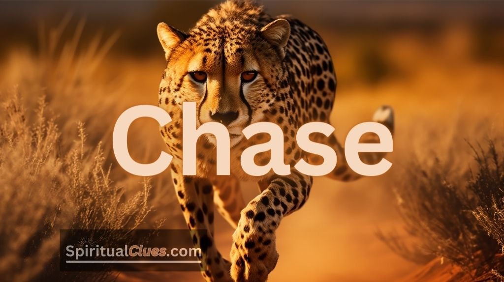 spiritual meaning of Chase
