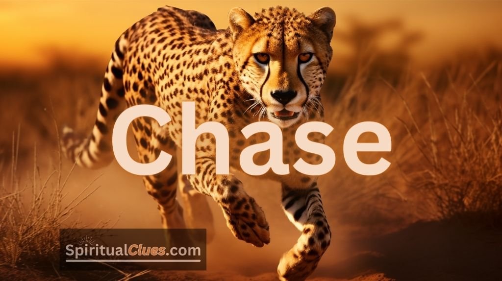 Spiritual Meaning of the Name Chase: To Hunt