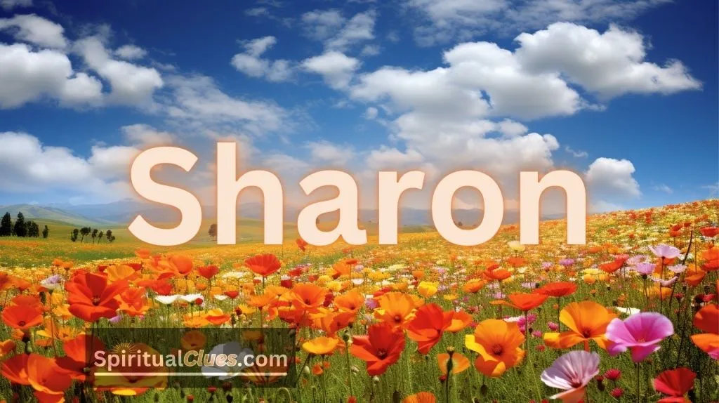 spiritual meaning of the name Sharon