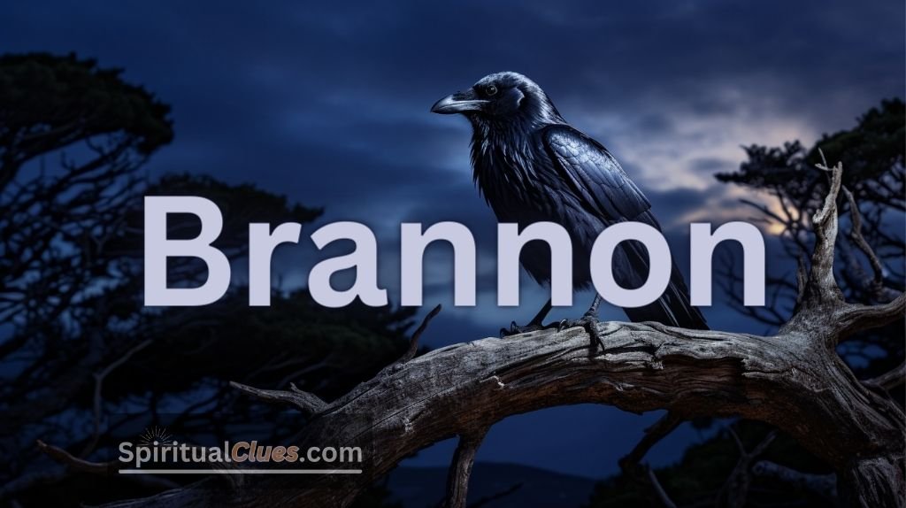 spiritual meaning of Brannon