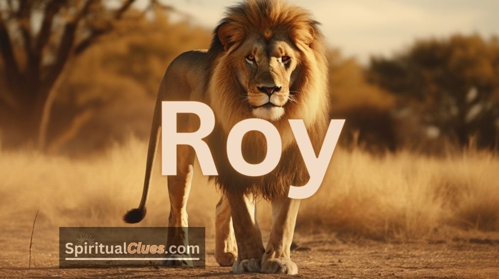 spiritual meaning of Roy