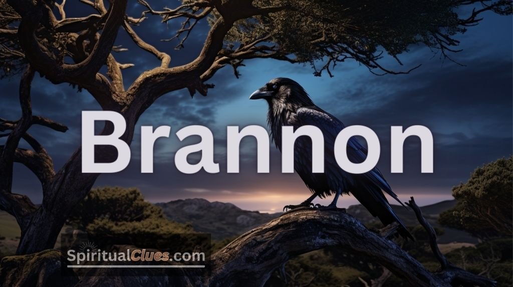 Spiritual Meaning of the Name Brannon: Ravens and Prophecy