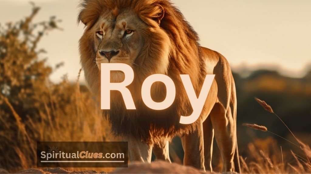 spiritual meaning of the name Roy
